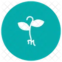 Growth Nature Plant Icon