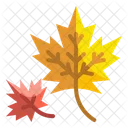 Leaf Maple Autumn Icon