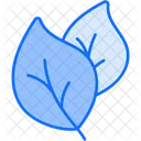 Leaf Icon