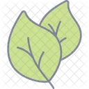 Leaf Icon