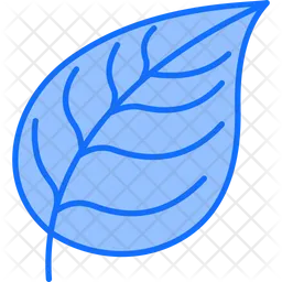 Leaf  Icon