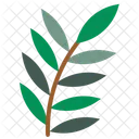 Leaf Plant Dropleaftable Icon