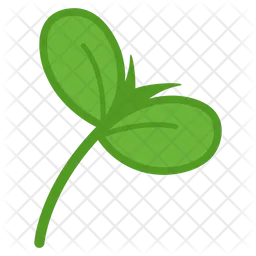 Leaf  Icon