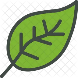 Leaf  Icon