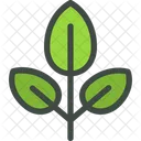 Leaf Nature Ecology Icon