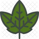 Leaf Nature Ecology Icon
