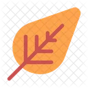 Leaf  Icon