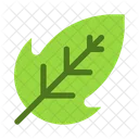 Leaf  Icon