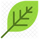 Leaf  Icon