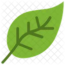 Leaf  Icon