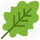 Leaf  Icon