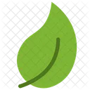 Leaf  Icon