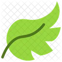 Leaf  Icon