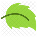 Leaf  Icon