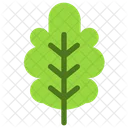 Leaf  Icon