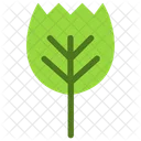 Leaf  Icon