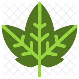 Leaf  Icon