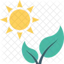 Leaf Ecology Sun Icon