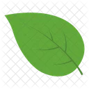 Leaf Nature Botanical Icon