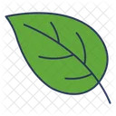 Leaf Nature Botanical Icon