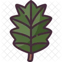 Leaf Oak Autumn Icon