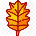 Leaf Oak Autumn Icon