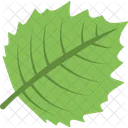 Leaf Greenery Tree Icon