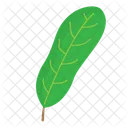 Leaf  Icon