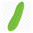 Leaf  Icon