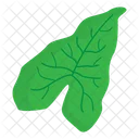 Leaf  Icon