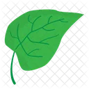 Leaf  Icon