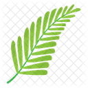 Leaf  Icon