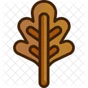 Leaf Oak Leaf Botanical Icon