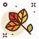 Leaf  Icon