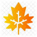 Leaf Maple Canada Icon