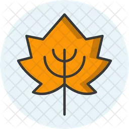 Leaf  Icon