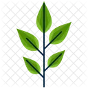 Alternate Greenery Leaf Icon