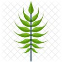 Linear Greenery Leaf Icon