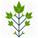 Bipinnately Greenery Leaf Icon