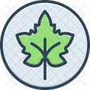 Leaf Green Environment Icon