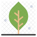 Leaf  Icon