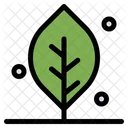 Ecology Leaf Nature Icon