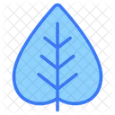 Leaf Nature Green Icon