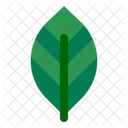 Leaf  Icon