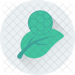 Leaf Icon