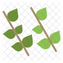 Ecology Leaf Nature Icon