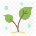 Leaf Nature Spring Icon