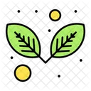 Leaf  Icon