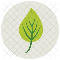 Leaf  Icon