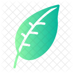 Leaf  Icon